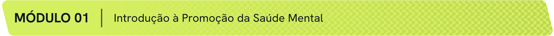 Módulo 1